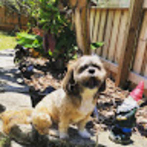 Meet your Posher, Elizabeth